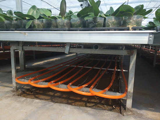 農(nóng)業(yè)種植、養(yǎng)殖地源熱泵供暖系統(tǒng)